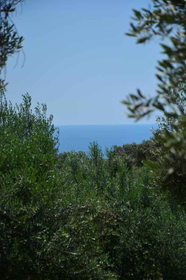 Olea Cottage Ulcinj Exterior foto