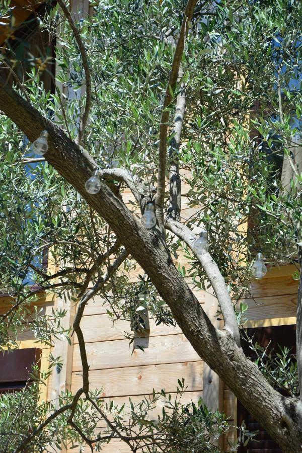 Olea Cottage Ulcinj Exterior foto